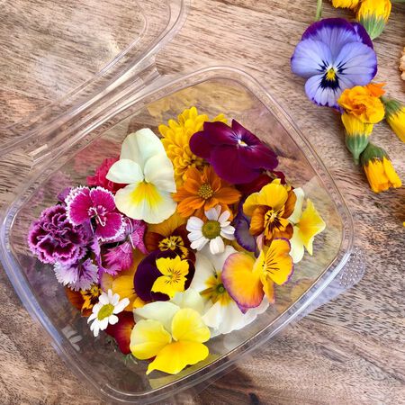 Edible Flower Blend, Wildflower Seed - 1/4 Pound image number null